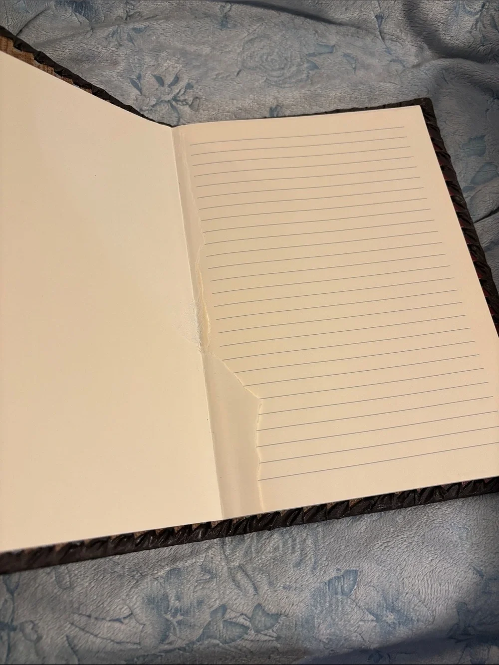 Vintage Art Portrait Red Leather Journal